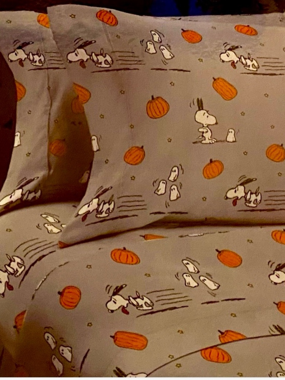 Peanuts Snoopy Pumpkin Queen sheet set- Gray and Orange